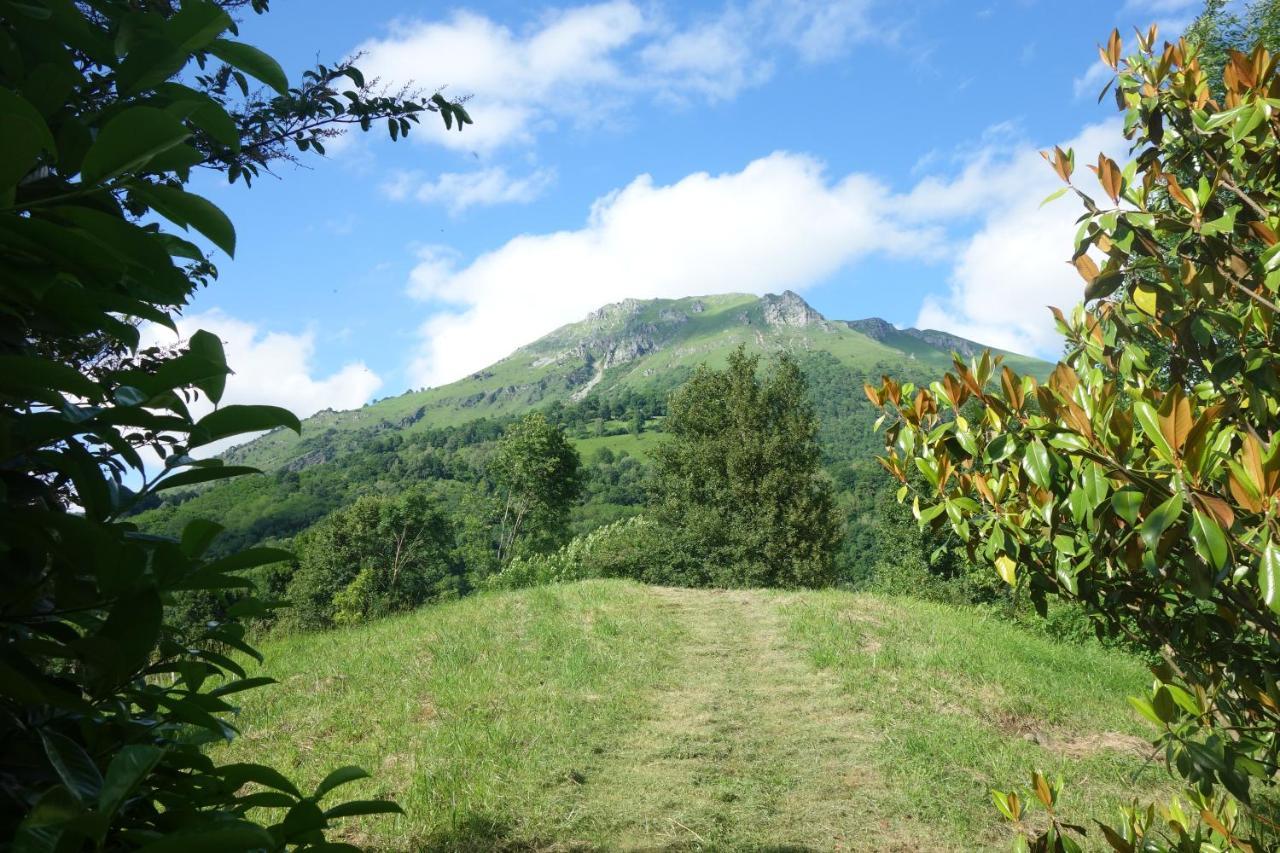 Gite Montagne Et Vie Bedous エクステリア 写真