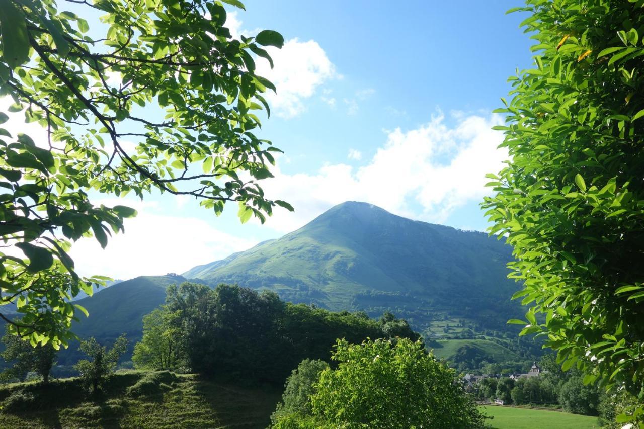 Gite Montagne Et Vie Bedous エクステリア 写真
