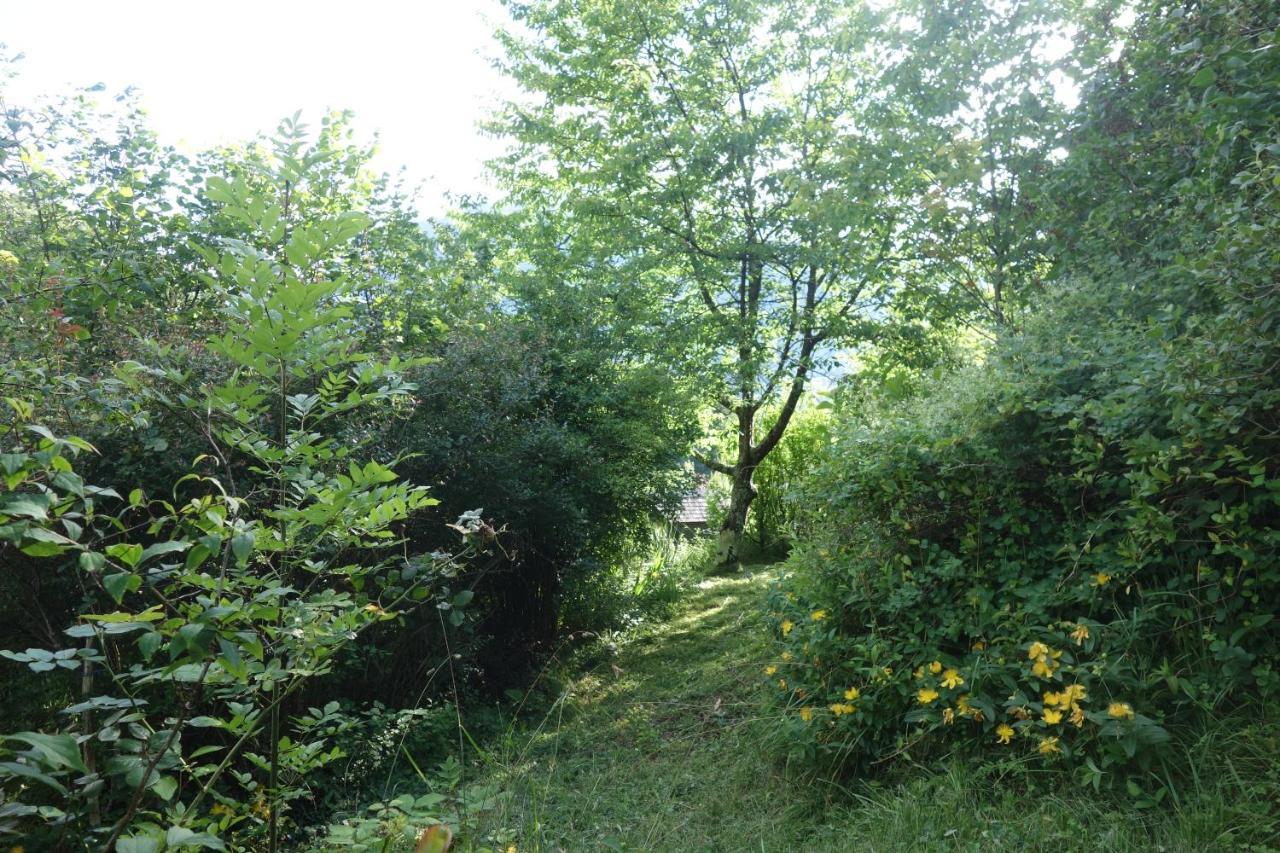 Gite Montagne Et Vie Bedous エクステリア 写真
