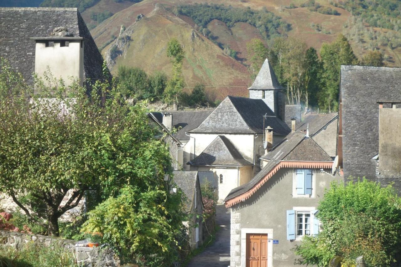 Gite Montagne Et Vie Bedous エクステリア 写真